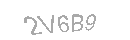 Güvenlik Kodu