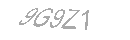 Güvenlik Kodu