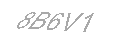 Güvenlik Kodu