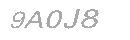 Güvenlik Kodu