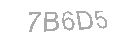 Güvenlik Kodu