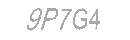Güvenlik Kodu