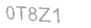 Güvenlik Kodu