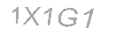 Güvenlik Kodu