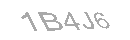 Güvenlik Kodu