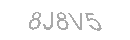 Güvenlik Kodu