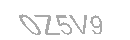 Güvenlik Kodu
