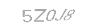 Güvenlik Kodu