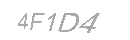 Güvenlik Kodu