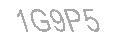 Güvenlik Kodu