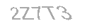 Güvenlik Kodu