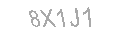 Güvenlik Kodu