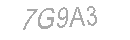 Güvenlik Kodu
