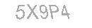 Güvenlik Kodu