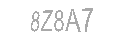 Güvenlik Kodu