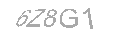 Güvenlik Kodu