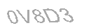 Güvenlik Kodu