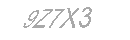 Güvenlik Kodu