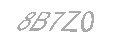 Güvenlik Kodu