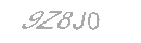 Güvenlik Kodu