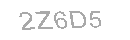 Güvenlik Kodu