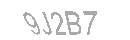 Güvenlik Kodu