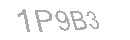 Güvenlik Kodu