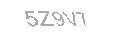 Güvenlik Kodu