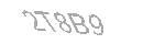 Güvenlik Kodu
