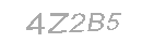 Güvenlik Kodu
