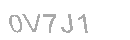 Güvenlik Kodu