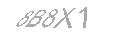 Güvenlik Kodu