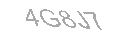 Güvenlik Kodu