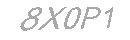 Güvenlik Kodu