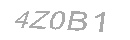 Güvenlik Kodu