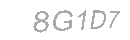 Güvenlik Kodu