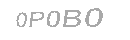 Güvenlik Kodu