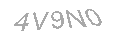 Güvenlik Kodu