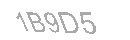 Güvenlik Kodu