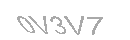 Güvenlik Kodu