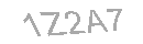 Güvenlik Kodu