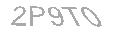 Güvenlik Kodu