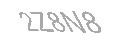 Güvenlik Kodu