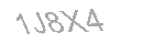 Güvenlik Kodu
