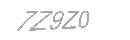 Güvenlik Kodu
