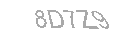 Güvenlik Kodu