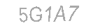 Güvenlik Kodu