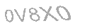 Güvenlik Kodu