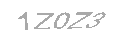 Güvenlik Kodu