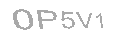 Güvenlik Kodu